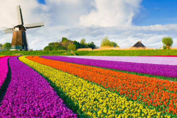 Allergies in the Spring: Seasonal Symptoms
