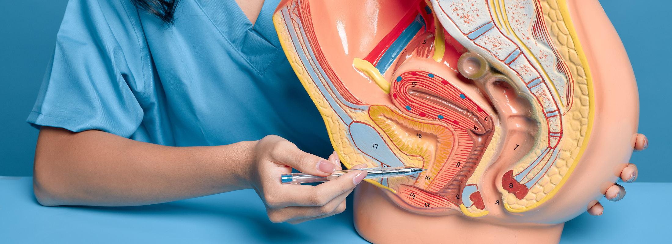Understanding Bladder Infection Symptoms & Causes